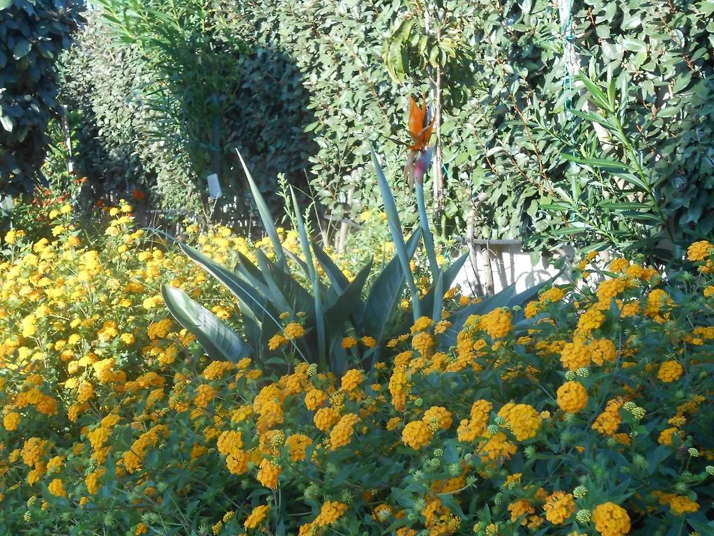 Bed and Breakfast B&B La Posada Stintino
