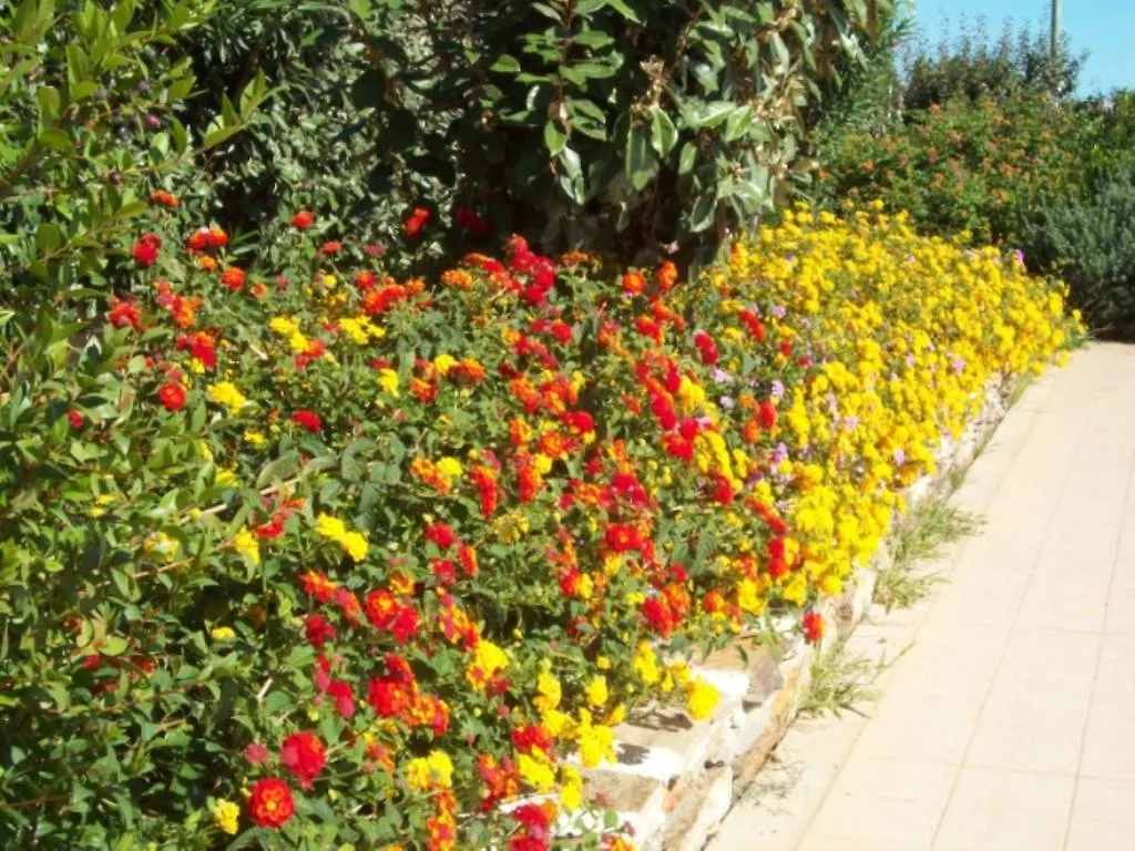 B&B La Posada Stintino Ιταλία