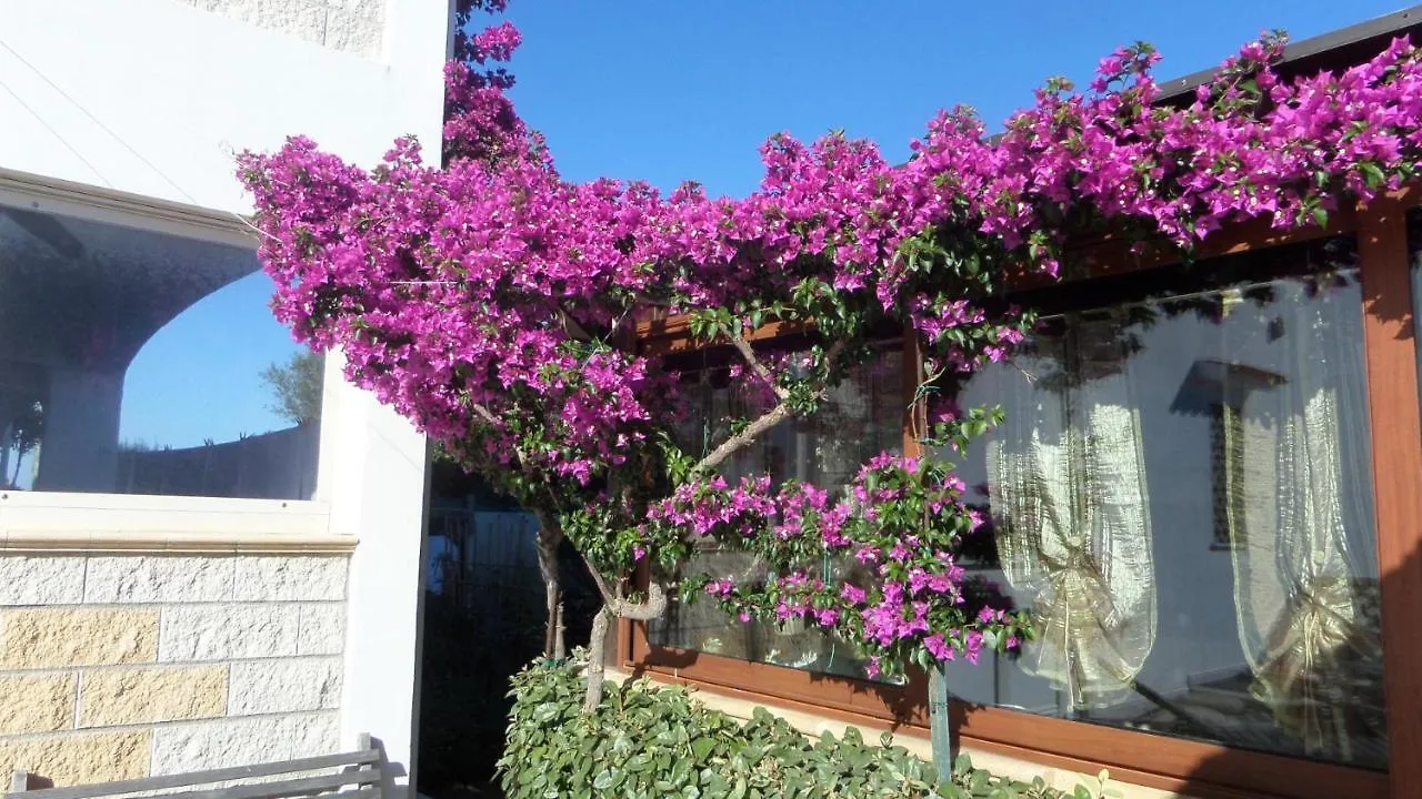 Bed & Breakfast B&B La Posada Stintino